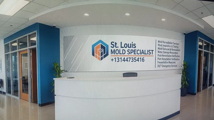 St. Louis Mold Specialist Picture 2