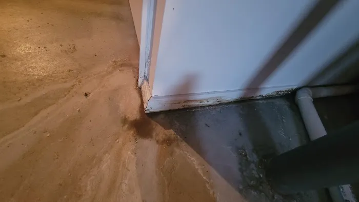 Eversafe Restoration LLC Picture 7