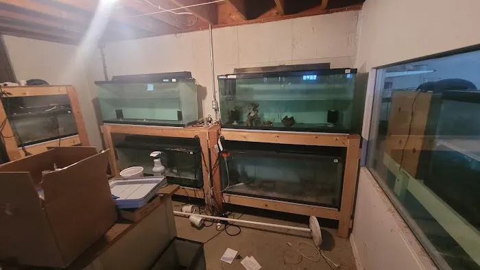 Eversafe Restoration LLC Picture 3