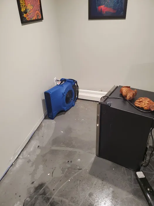 Voda Cleaning of O'Fallon-Wentzville Picture 6