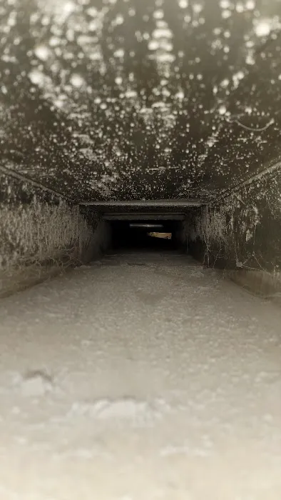 Midwest Carpet and Duct cleaning/Restoration Picture 2