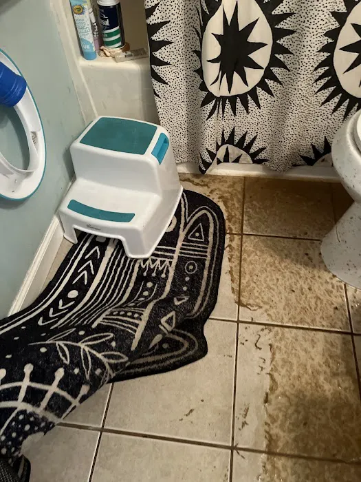 BELFOR Property Restoration (St. Louis) Picture 7