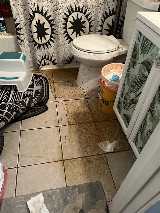 BELFOR Property Restoration (St. Louis) Picture 6