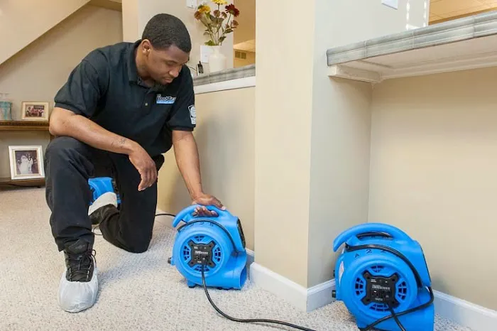 The Flood Team Picture 3