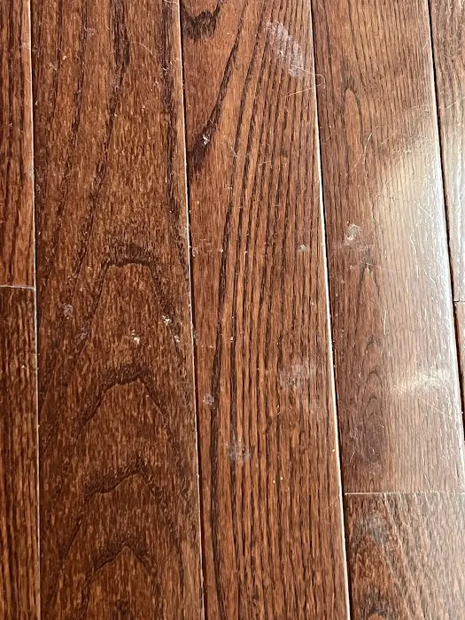 ProSteam Carpet Care & Restoration Picture 8