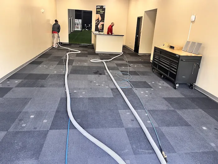 ProSteam Carpet Care & Restoration Picture 7