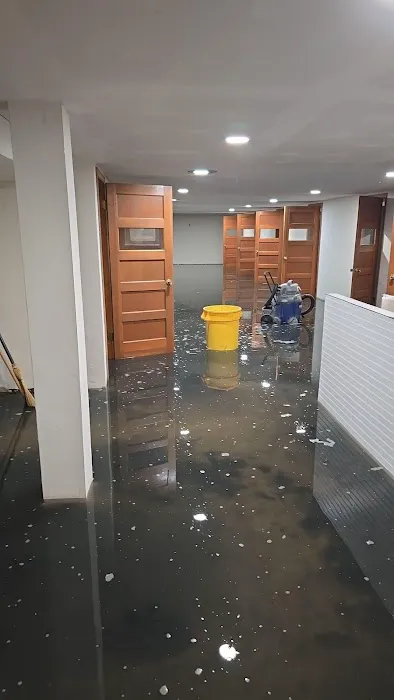 Fast Restoration Picture 1