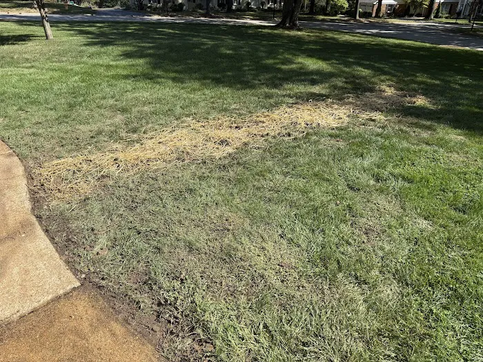 Helitech Waterproofing & Foundation Repair Picture 9