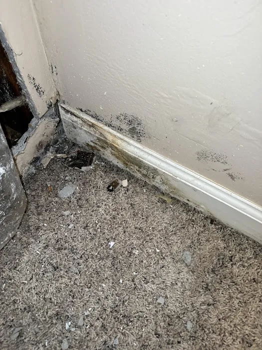 RCC Restoration Picture 7