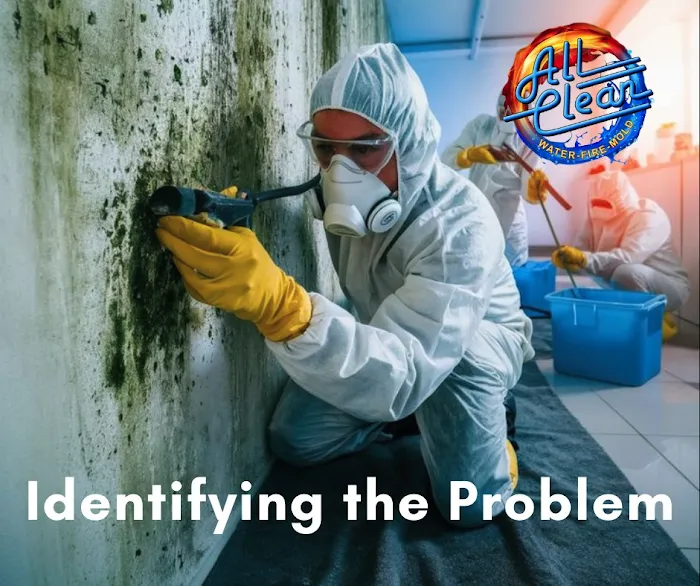 All Clean Restoration Services Picture 6