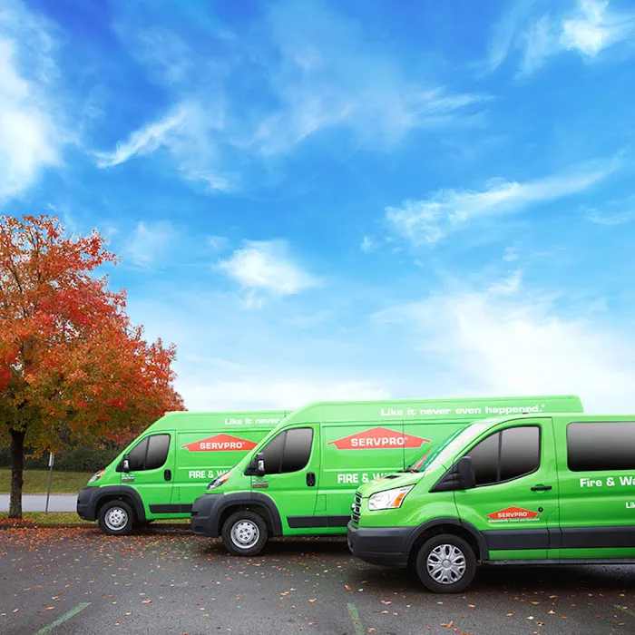 SERVPRO® of Collinsville, Troy, Alton, Edwardsville, Granite City, Belleville, O' Fallon Picture 7