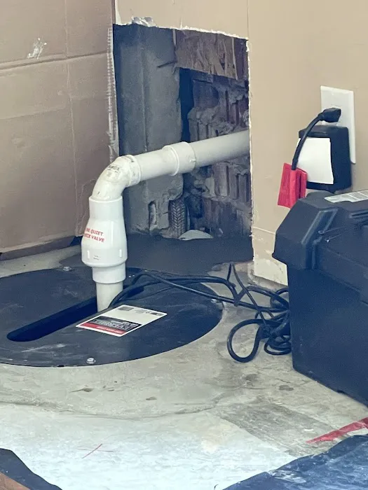 Disaster Pros Picture 1