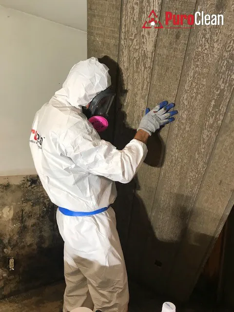 PuroClean of Wentzville Picture 7