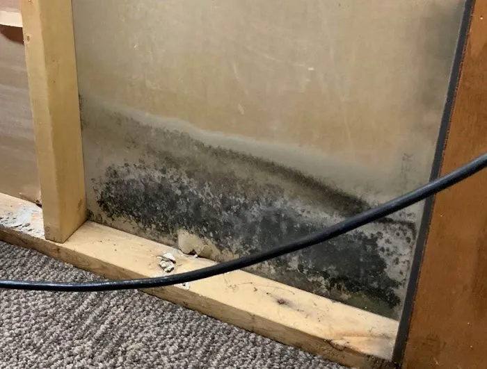 PuroClean of Wentzville Picture 4