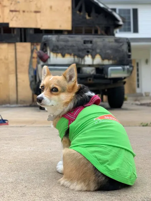 SERVPRO of Western O'Fallon/Wentzville Picture 4