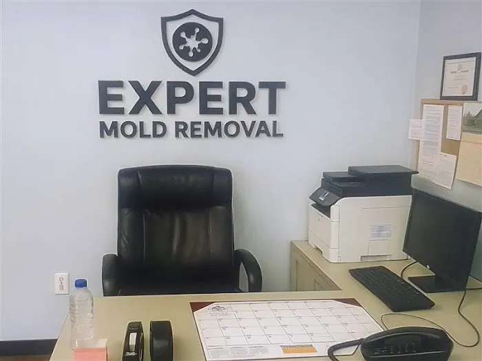 Expert Mold Removal - Florissant, MO Picture 1