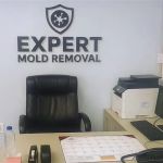 Expert Mold Removal - Florissant, MO
