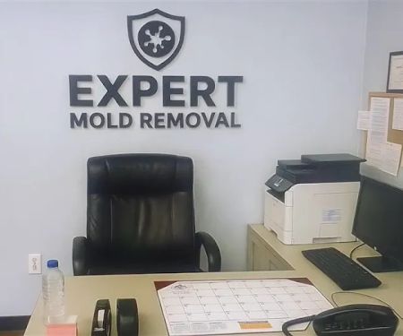 Expert Mold Removal - Florissant, MO