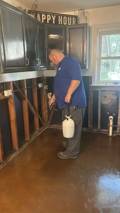 Absolute Clean and Restoration Picture 4