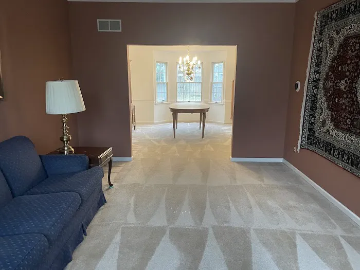 Absolute Clean and Restoration Picture 5