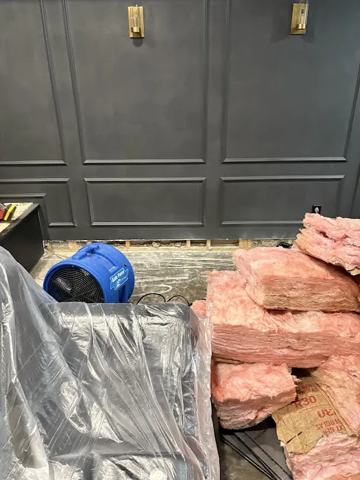 Absolute Clean and Restoration Picture 10