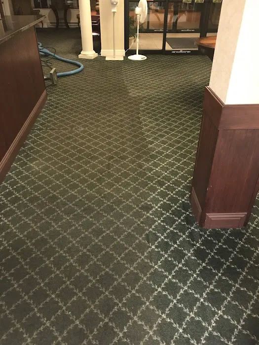 Allstar Carpet & Upholstery Care Picture 3