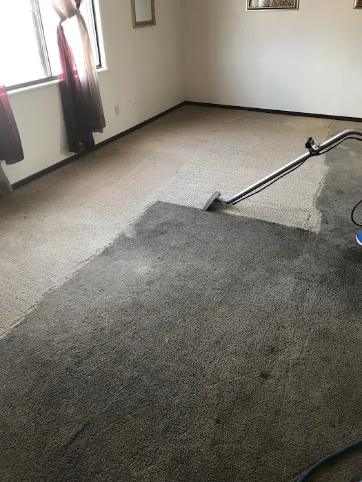 Allstar Carpet & Upholstery Care Picture 5