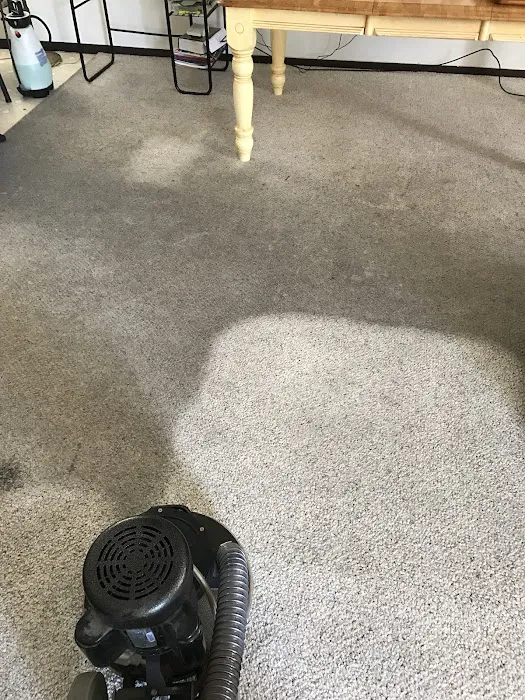 Allstar Carpet & Upholstery Care Picture 8