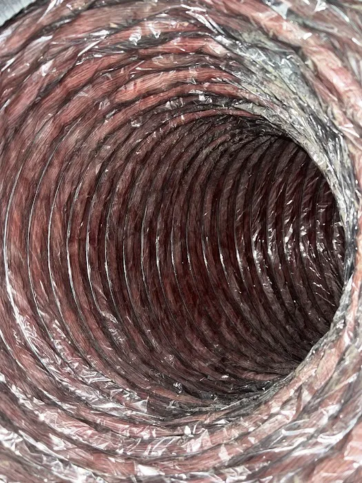 Allstar Carpet & Upholstery Care Picture 9