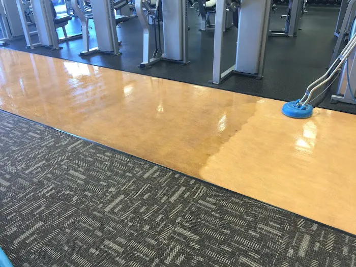 Allstar Carpet & Upholstery Care Picture 4