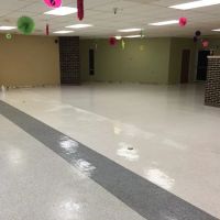 Allstar Carpet & Upholstery Care ico