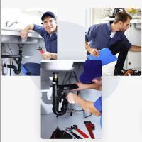 Pioneer Plumbing Restoration ico