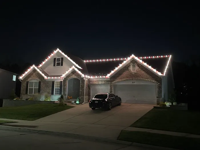 Soft Wash Elite Picture 5