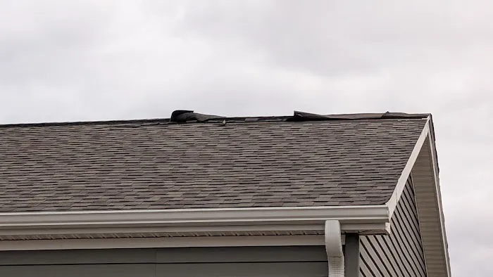 Going Green Restoration Picture 1