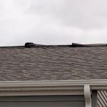 Going Green Restoration