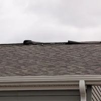 Going Green Restoration ico