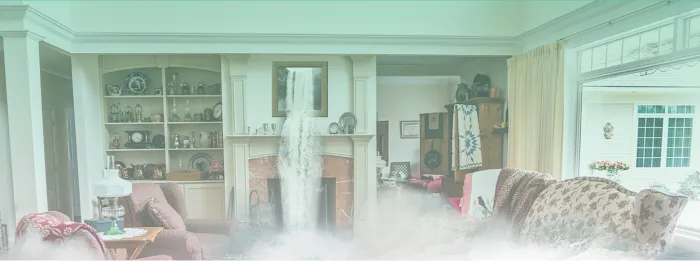 Dri Right Fire and Water Damage Restoration Picture 3