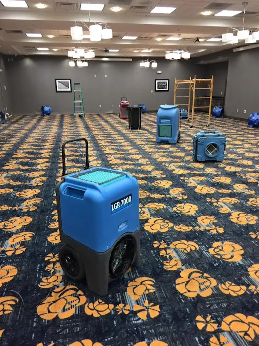 Dri Right Fire and Water Damage Restoration Picture 8