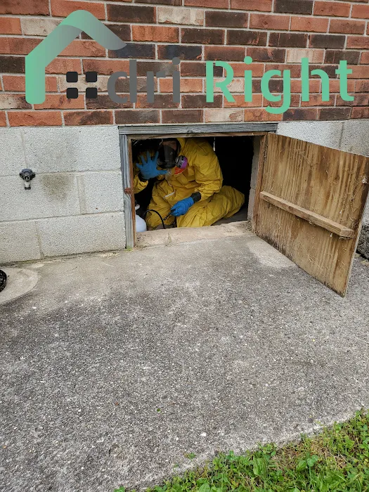 Dri Right Fire and Water Damage Restoration Picture 10