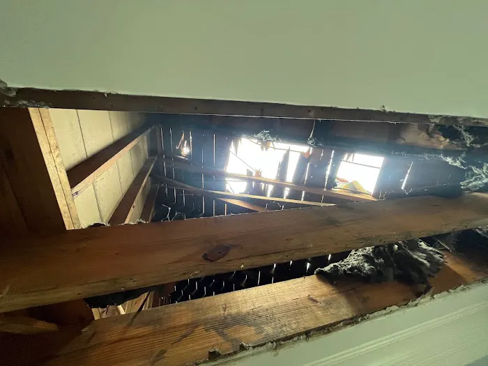 Jungbert Company Picture 3