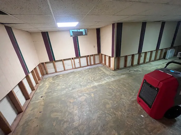 Jungbert Company Picture 5