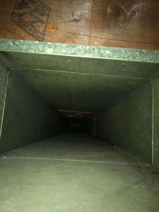 COIT Cleaning and Restoration Picture 6