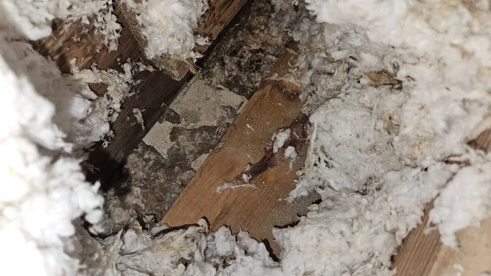 Sick Home Solutions Picture 5