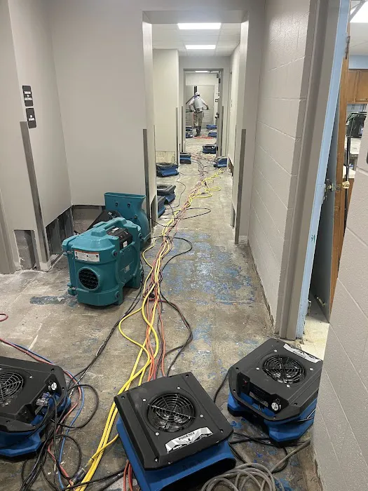 First Light Restoration Picture 7