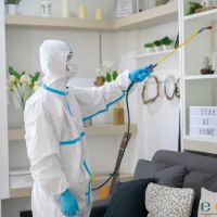 Louisville Experts ico