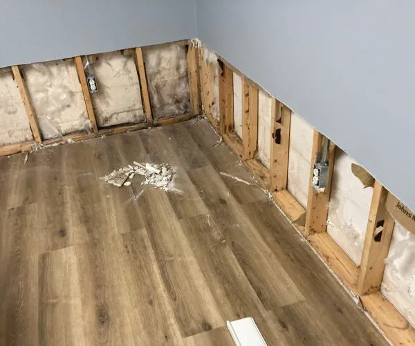 All Dry Services Picture 4