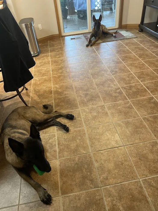 Stanley Steemer Picture 10