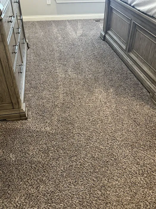 Stanley Steemer Picture 1