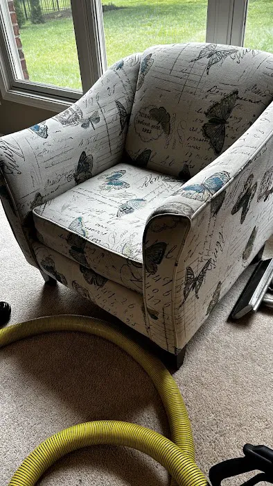 Stanley Steemer Picture 7