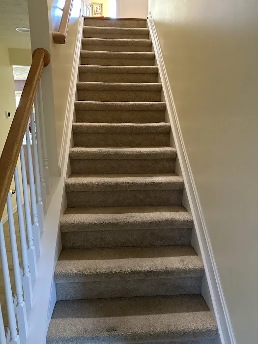 Stanley Steemer Picture 2